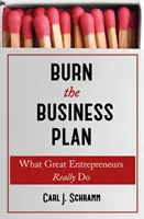 Burn The Business Plan - Ce fac cu adevărat marii antreprenori - Burn The Business Plan - What Great Entrepreneurs Really Do