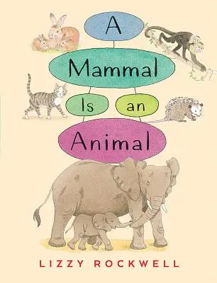 Un mamifer este un animal - A Mammal Is an Animal
