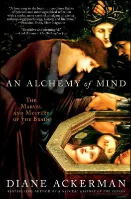 O alchimie a minții: Minunea și misterul creierului - An Alchemy of Mind: The Marvel and Mystery of the Brain