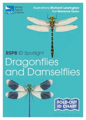 Rspb Id Spotlight - Libelule și Damselflies - Rspb Id Spotlight - Dragonflies and Damselflies
