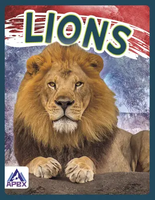 Leii - Lions
