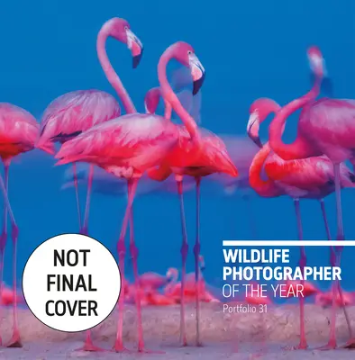 Fotograful de animale sălbatice al anului: Portofoliul 31, 31 - Wildlife Photographer of the Year: Portfolio 31, 31