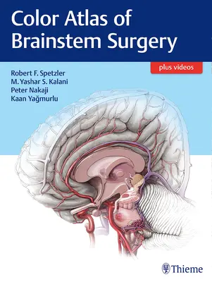 Atlas color de chirurgie a trunchiului cerebral - Color Atlas of Brainstem Surgery