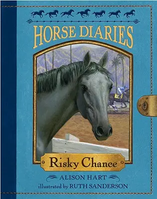 O șansă riscantă - Risky Chance