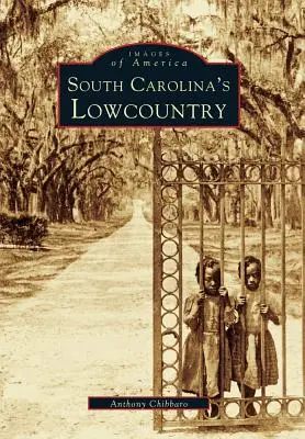 Ținutul de Jos al Carolinei de Sud - South Carolina's Lowcountry