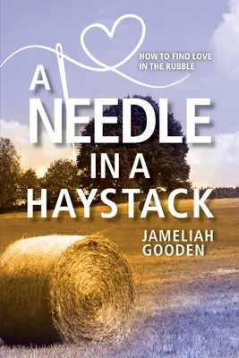A Needle in a Haystack: Cum să găsești dragostea printre dărâmături - A Needle in a Haystack: How to Find Love in the Rubble