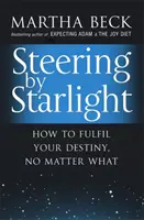 Steering By Starlight - Cum să-ți împlinești destinul, indiferent de situație - Steering By Starlight - How to fulfil your destiny, no matter what