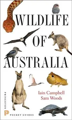 Viața sălbatică din Australia - Wildlife of Australia