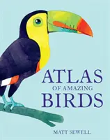 Atlas de păsări uimitoare - Atlas of Amazing Birds