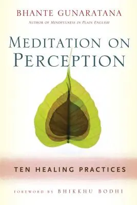 Meditația asupra percepției: Zece practici de vindecare pentru cultivarea atenției - Meditation on Perception: Ten Healing Practices to Cultivate Mindfulness
