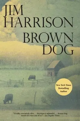 Câinele maro - Brown Dog
