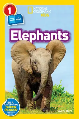 Elefanți - Elephants