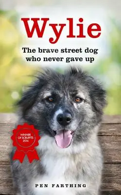Wylie: Bravul câine de stradă care nu a renunțat niciodată - Wylie: The Brave Street Dog Who Never Gave Up