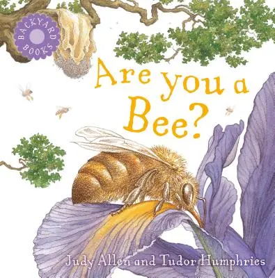 Ești o albină? - Are You a Bee?