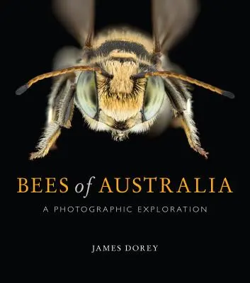 Albinele din Australia: O explorare fotografică - Bees of Australia: A Photographic Exploration
