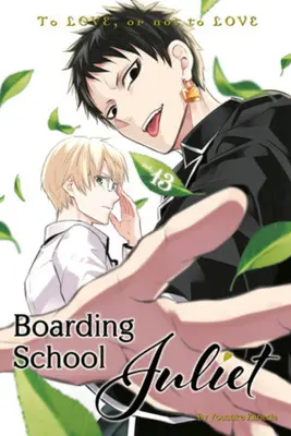 Internat Școala Juliet 13 - Boarding School Juliet 13