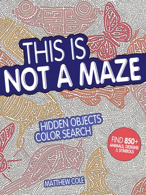 Acesta nu este un labirint: Căutare color cu obiecte ascunse - This Is Not a Maze: Hidden Objects Color Search
