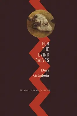 Pentru vițeii muribunzi: Dincolo de literatură: Oxford Lectures - For the Dying Calves: Beyond Literature: Oxford Lectures
