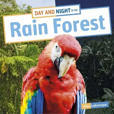 Zi și noapte în pădurea tropicală - Day and Night in the Rain Forest