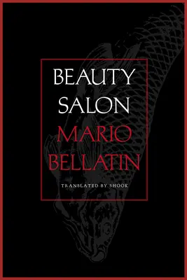 Salon de frumusețe - Beauty Salon