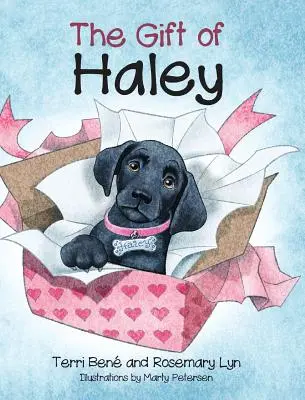 Darul lui Haley - The Gift of Haley