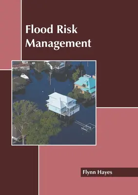 Managementul riscului de inundații - Flood Risk Management