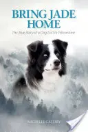 Bring Jade Home: Povestea adevărată a unui câine pierdut în Yellowstone - Bring Jade Home: The True Story of a Dog Lost in Yellowstone