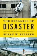 Dinamica dezastrelor - The Dynamics of Disaster
