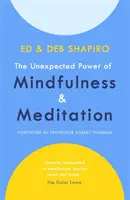 Puterea neașteptată a mindfulness-ului și a meditației - Unexpected Power of Mindfulness and Meditation