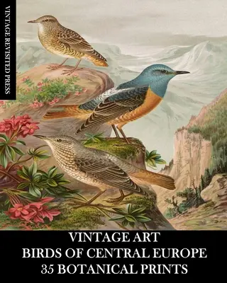 Vintage Art: Păsări din Europa Centrală: 35 printuri botanice - Vintage Art: Birds of Central Europe: 35 Botanical Prints