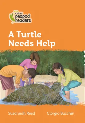 Nivelul 4 - O broască țestoasă are nevoie de ajutor - Level 4 - A Turtle Needs Help