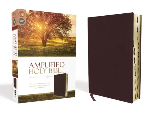 Amplified-Am: Captează întreaga semnificație din spatele originalului grecesc și ebraic - Amplified-Am: Captures the Full Meaning Behind the Original Greek and Hebrew
