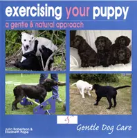 Cum să vă exersați cățelul - Exercising Your Puppy