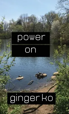 Putere pe - Power on