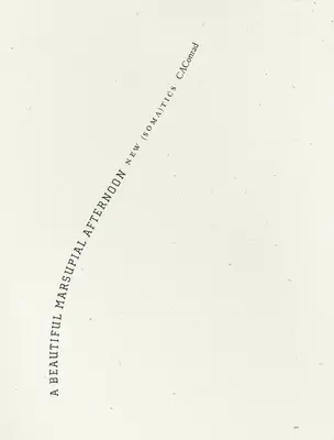 O frumoasă după-amiază marsupială: New (Soma)Tics - A Beautiful Marsupial Afternoon: New (Soma)Tics