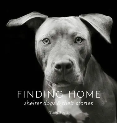 Finding Home: Shelter Dogs and Their Stories (un tribut fotografic adus câinilor de salvare) - Finding Home: Shelter Dogs and Their Stories (a Photographic Tribute to Rescue Dogs)