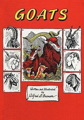 Capre - Goats