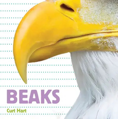 Al cui este? Ciocoii - Whose Is It? Beaks