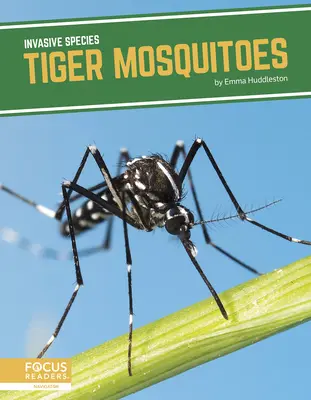 Țânțari tigru - Tiger Mosquitoes