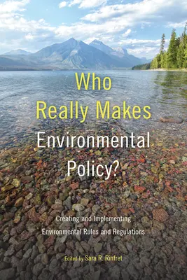 Cine face cu adevărat politica de mediu?: Crearea și punerea în aplicare a normelor și regulamentelor de mediu - Who Really Makes Environmental Policy?: Creating and Implementing Environmental Rules and Regulations