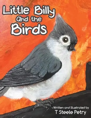 Micul Billy și păsările - Little Billy and the Birds