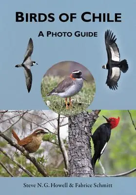 Păsările din Chile: Un ghid foto - Birds of Chile: A Photo Guide