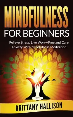 MINDFULNESS Pentru începători: Alungă stresul, trăiește fără griji și vindecă anxietatea cu ajutorul meditației Mindfulness - MINDFULNESS For Beginners: Relieve Stress, Live Worry-Free and Cure Anxiety with Mindfulness Meditation