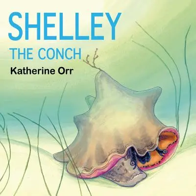 Scoica Shelley - Shelley the Conch