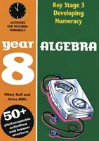 Algebră: Anul 8 - Algebra: Year 8
