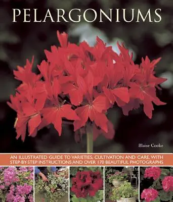 Pelargonium: Un ghid ilustrat al soiurilor, cultivării și îngrijirii, cu instrucțiuni pas cu pas și peste 170 de fotografii frumoase - Pelargoniums: An Illustrated Guide to Varieties, Cultivation and Care, with Step-By-Step Instructions and Over 170 Beautiful Photogr