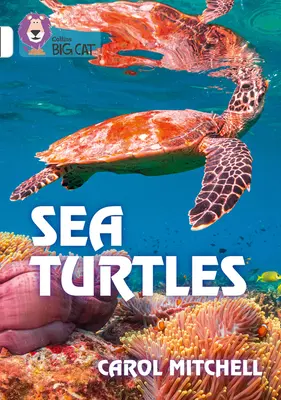 Țestoasele de mare: Banda 10/alb - Sea Turtles: Band 10/White