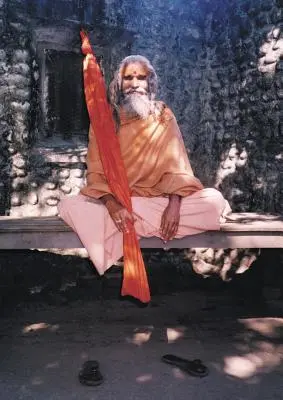 Dandi Swami: Povestea voinței lui Guru, Maharishi Mahesh Yogi, Shankaracharyas de Jyotir Math, și întâlniri cu Dandi Swami N - Dandi Swami: The Story of the Guru's Will, Maharishi Mahesh Yogi, the Shankaracharyas of Jyotir Math, & Meetings with Dandi Swami N