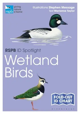 Rspb Id Spotlight - Păsări din zonele umede - Rspb Id Spotlight - Wetland Birds