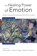Puterea vindecătoare a emoțiilor: Neuroștiința afectivă, dezvoltare și practică clinică - The Healing Power of Emotion: Affective Neuroscience, Development and Clinical Practice